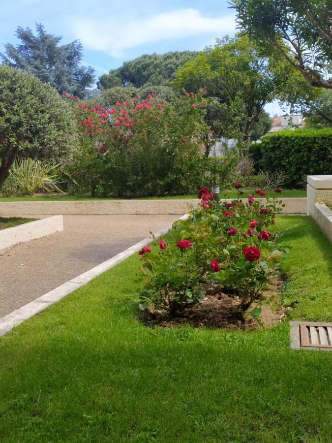 Eden Golfe Plages A Pieds Parking Prive Vallauris Bagian luar foto